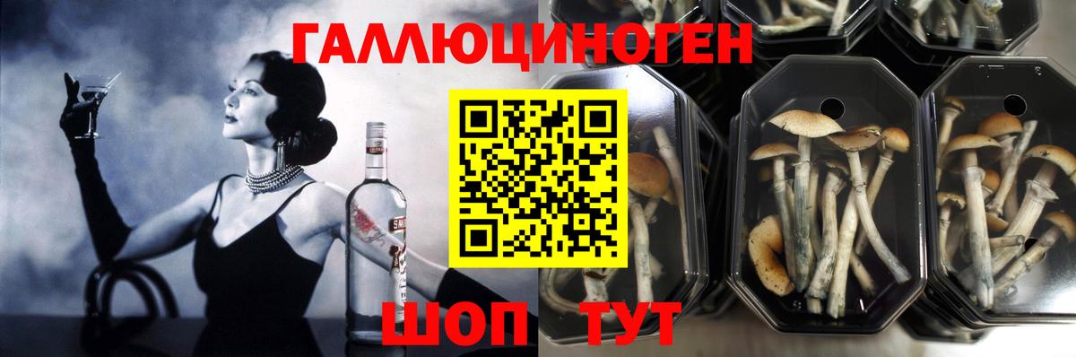 Галлюциногенные грибы мухоморы  Псилоцибиновые грибы Cubensis  Мурманск  Вход с VPN 